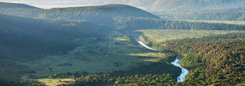 Kariega Game Reserve Settlers Drift Alexandria  Εξωτερικό φωτογραφία
