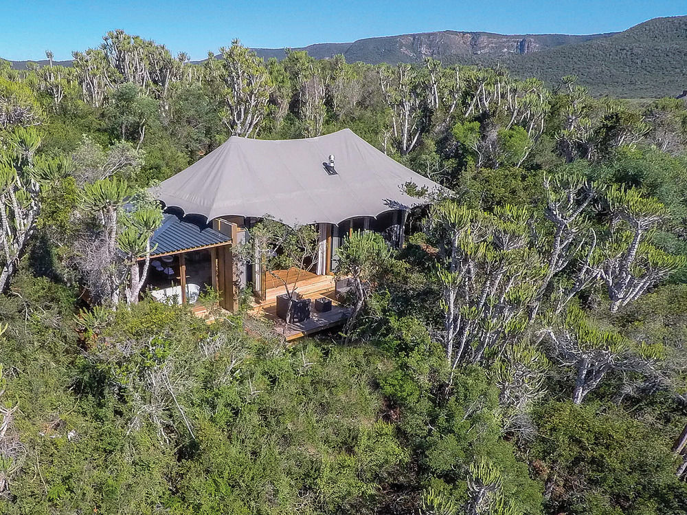 Kariega Game Reserve Settlers Drift Alexandria  Εξωτερικό φωτογραφία