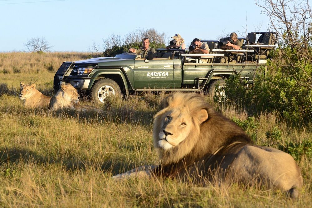 Kariega Game Reserve Settlers Drift Alexandria  Εξωτερικό φωτογραφία